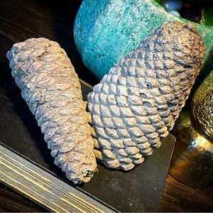 vintage cement fireplace pinecones
